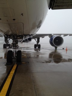 201202221.JPG